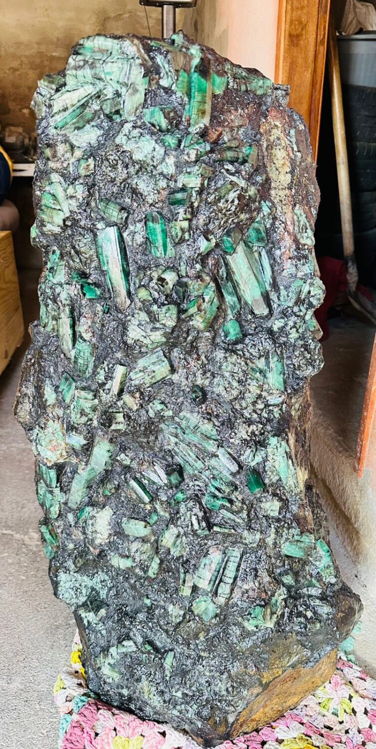 WhatsApp Image 2026-03-29 at 14.33.58