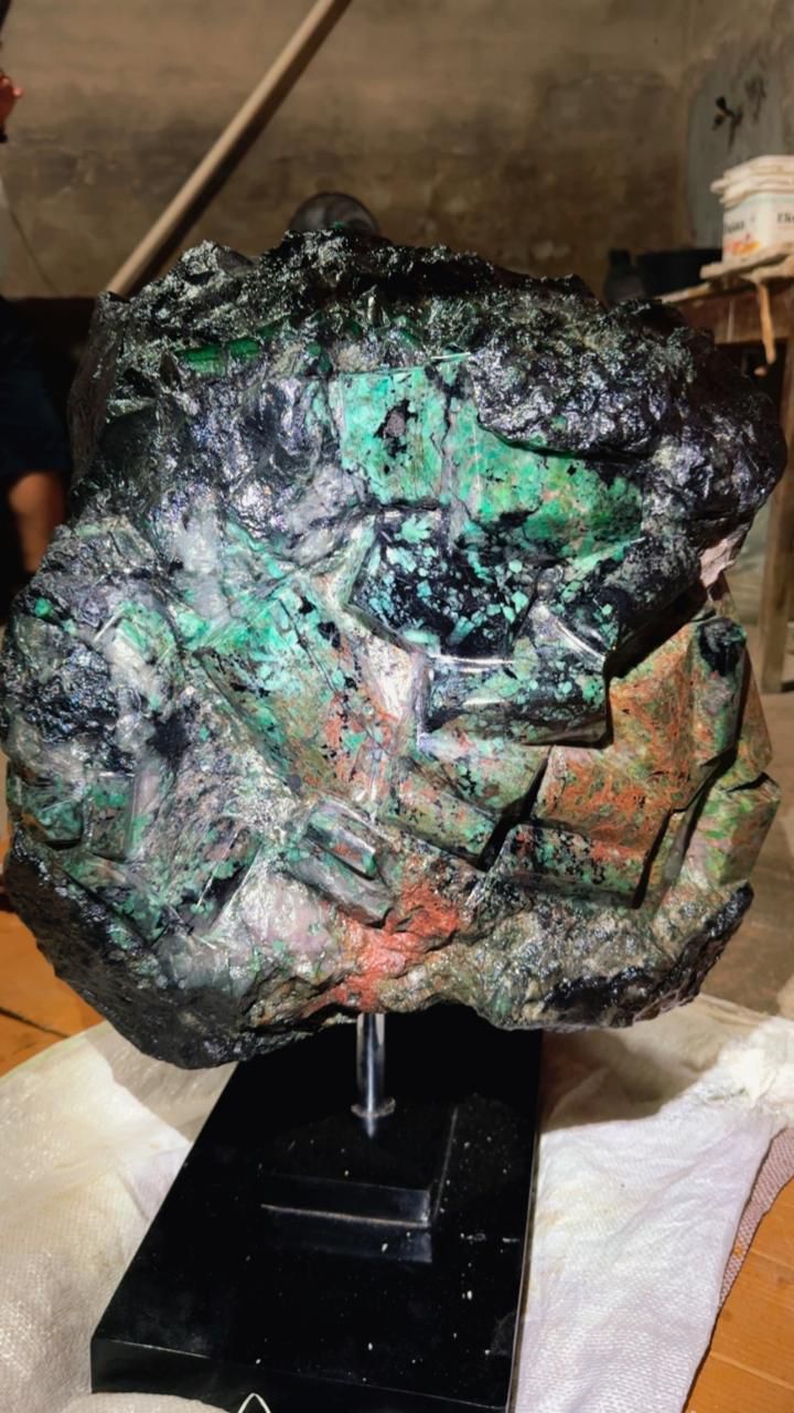 WhatsApp Image 2026-03-29 at 14.43.35 (2)